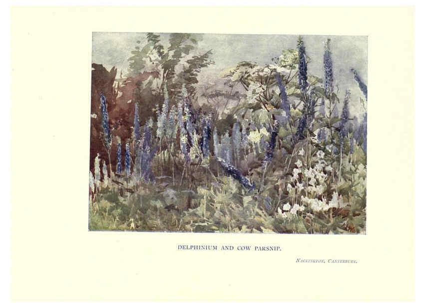 Reproducción/Reproduction 6285791479: Garden colour London,E. P. Dutton & company,1905