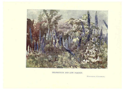 Reproducción/Reproduction 6285791479: Garden colour London,E. P. Dutton & company,1905