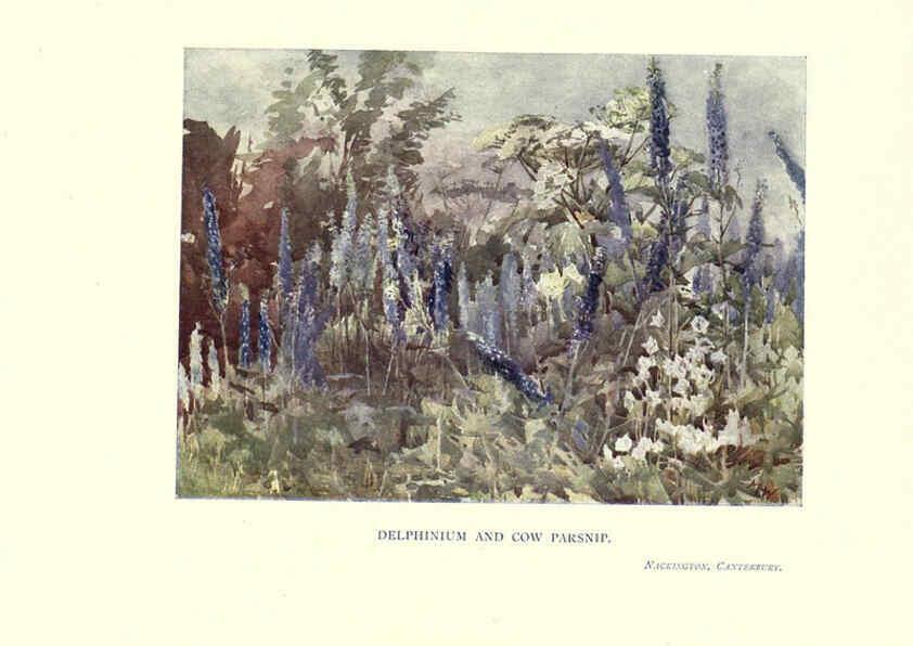 Reproducción/Reproduction 6285791479: Garden colour London,E. P. Dutton & company,1905