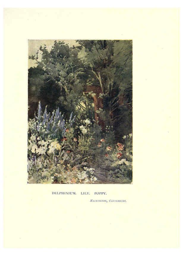Reproducción/Reproduction 6285791661: Garden colour London,E. P. Dutton & company,1905