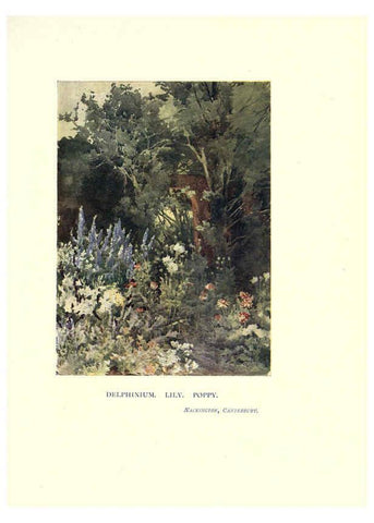 Reproducción/Reproduction 6285791661: Garden colour London,E. P. Dutton & company,1905