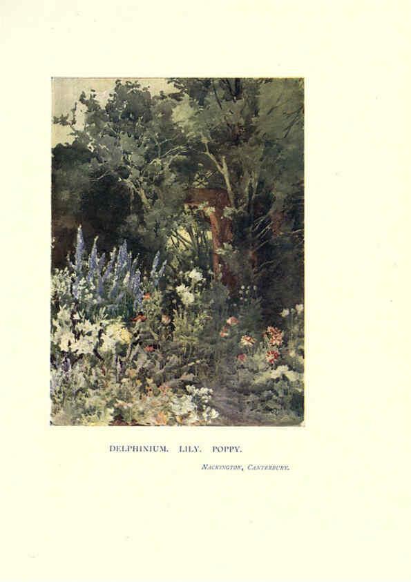 Reproducción/Reproduction 6285791661: Garden colour London,E. P. Dutton & company,1905