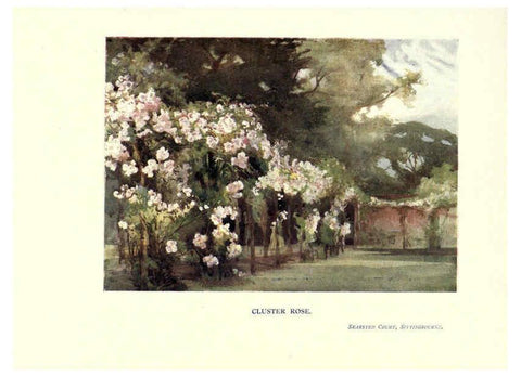 Reproducción/Reproduction 6286313384: Garden colour London,E. P. Dutton & company,1905