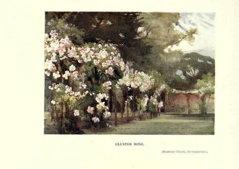 Reproducción/Reproduction 6286313384: Garden colour London,E. P. Dutton & company,1905