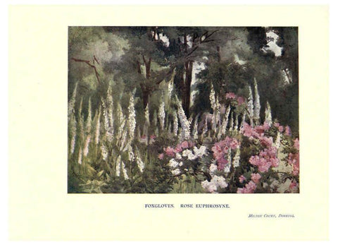 Reproducción/Reproduction 6286313554: Garden colour London,E. P. Dutton & company,1905
