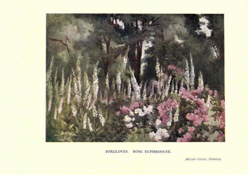 Reproducción/Reproduction 6286313554: Garden colour London,E. P. Dutton & company,1905