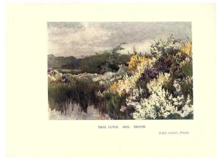 Reproducción/Reproduction 6286311820: Garden colour London,E. P. Dutton & company,1905
