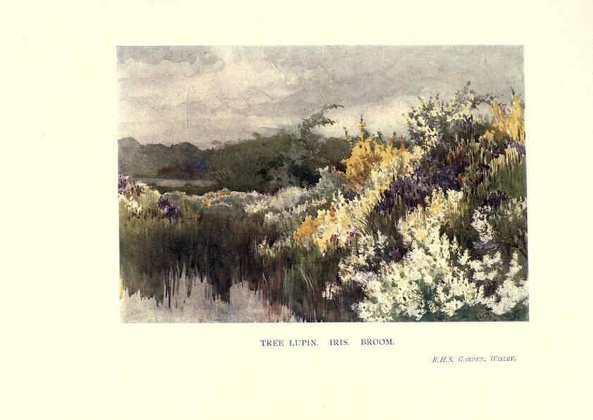 Reproducción/Reproduction 6286311820: Garden colour London,E. P. Dutton & company,1905