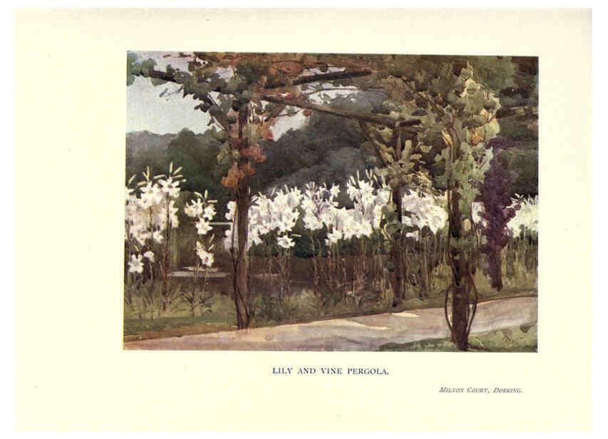 Reproducción/Reproduction 6286314184: Garden colour London,E. P. Dutton & company,1905