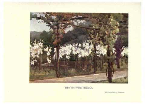 Reproducción/Reproduction 6286314184: Garden colour London,E. P. Dutton & company,1905