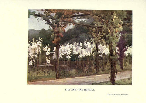 Reproducción/Reproduction 6286314184: Garden colour London,E. P. Dutton & company,1905