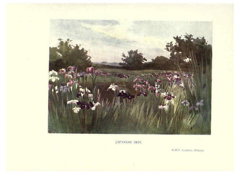 Reproducción/Reproduction 6286314512: Garden colour London,E. P. Dutton & company,1905