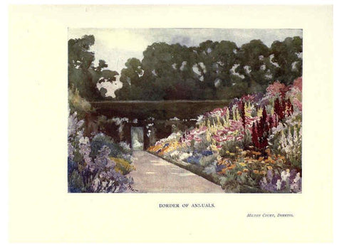 Reproducción/Reproduction 6286314706: Garden colour London,E. P. Dutton & company,1905