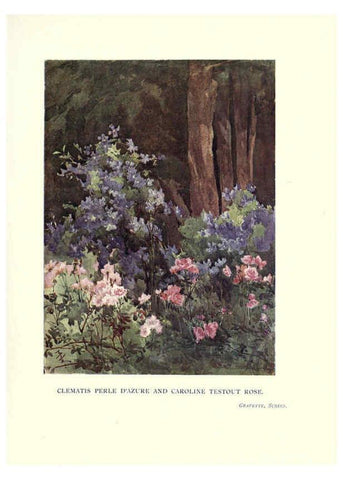 Reproducción/Reproduction 6286314974: Garden colour London,E. P. Dutton & company,1905