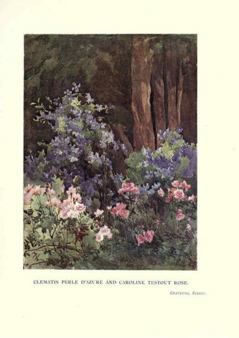 Reproducción/Reproduction 6286314974: Garden colour London,E. P. Dutton & company,1905