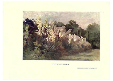 Reproducción/Reproduction 6286315124: Garden colour London,E. P. Dutton & company,1905