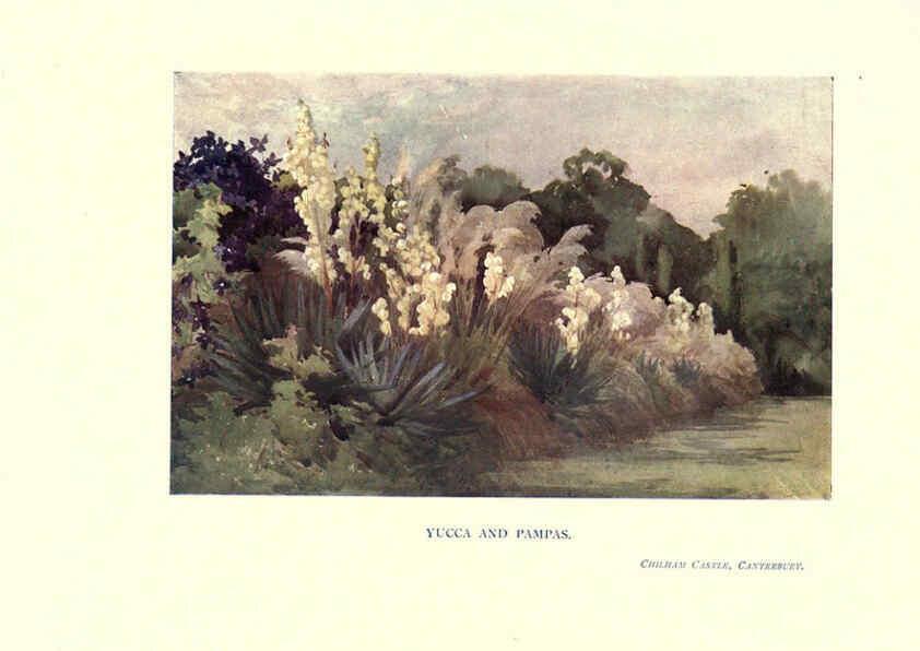 Reproducción/Reproduction 6286315124: Garden colour London,E. P. Dutton & company,1905