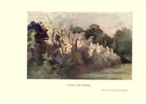 Reproducción/Reproduction 6286315124: Garden colour London,E. P. Dutton & company,1905