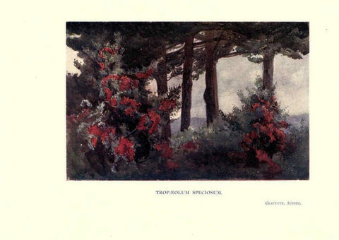 Reproducción/Reproduction 6286315368: Garden colour London,E. P. Dutton & company,1905