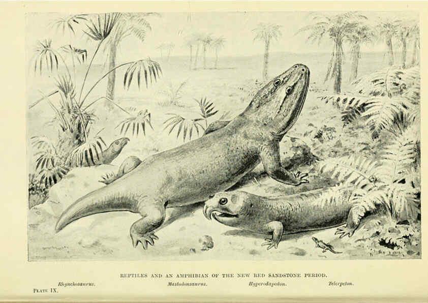 Reproducción/Reproduction 6288294163: Extinct monsters and creatures of other days London :Chapman & Hall,1910