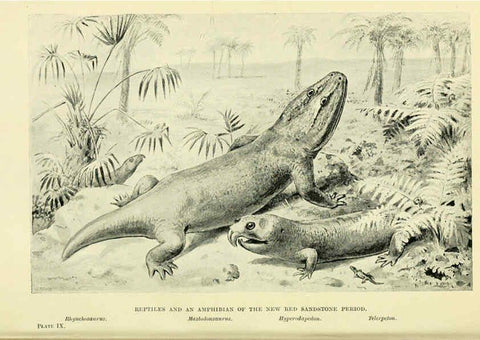 Reproducción/Reproduction 6288294163: Extinct monsters and creatures of other days London :Chapman & Hall,1910