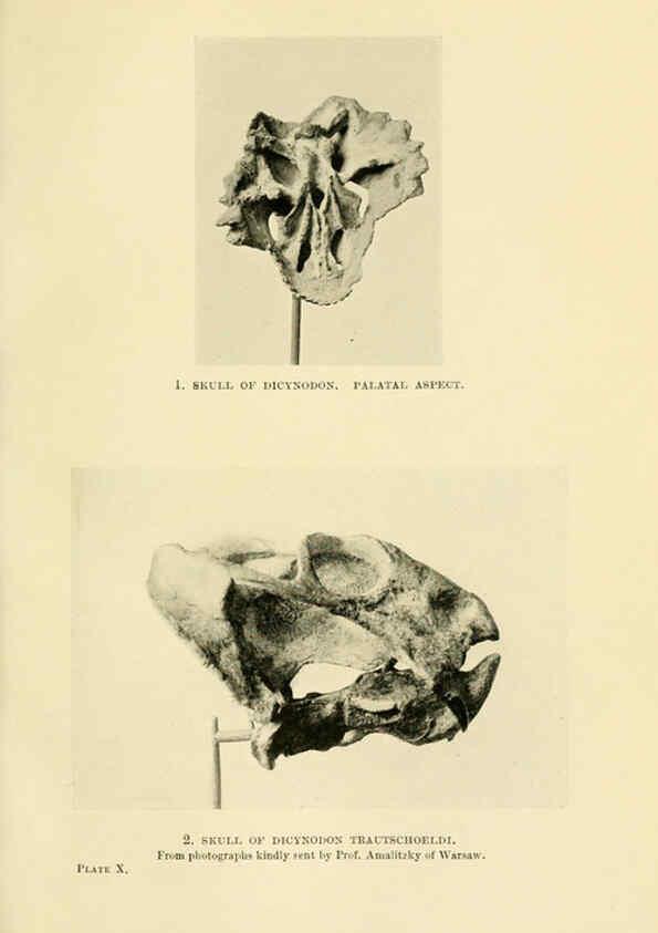 Reproducción/Reproduction 6288814524: Extinct monsters and creatures of other days London :Chapman & Hall,1910