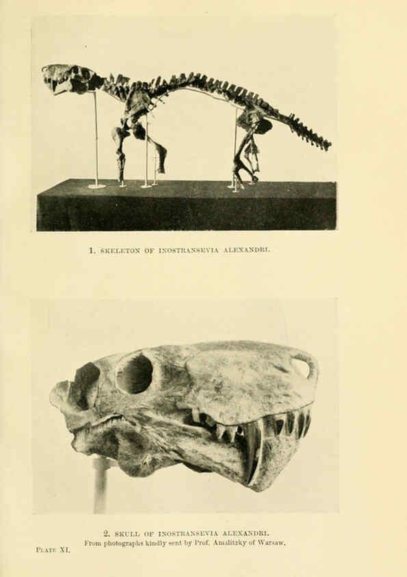 Reproducción/Reproduction 6288294463: Extinct monsters and creatures of other days London :Chapman & Hall,1910