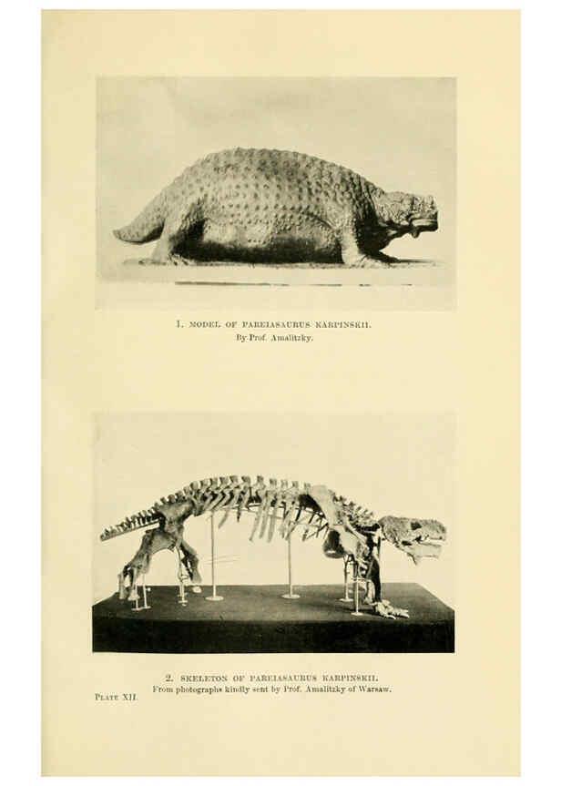 Reproducción/Reproduction 6288294621: Extinct monsters and creatures of other days London :Chapman & Hall,1910