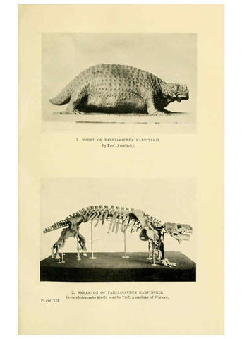 Reproducción/Reproduction 6288294621: Extinct monsters and creatures of other days London :Chapman & Hall,1910