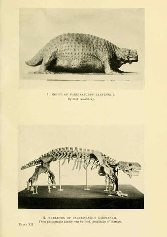 Reproducción/Reproduction 6288294621: Extinct monsters and creatures of other days London :Chapman & Hall,1910