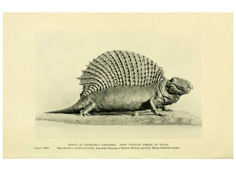 Reproducción/Reproduction 6288294815: Extinct monsters and creatures of other days London :Chapman & Hall,1910