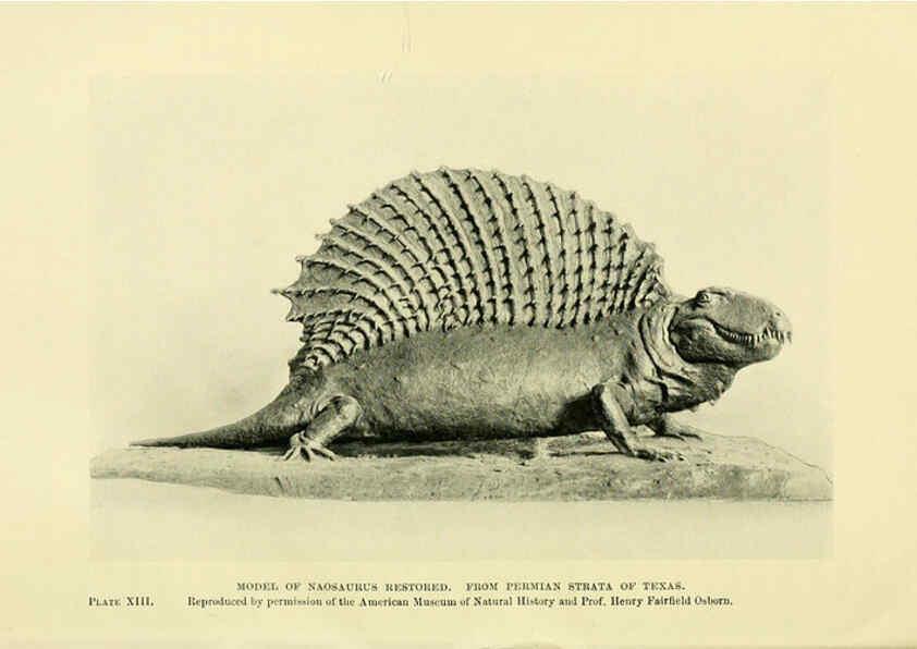 Reproducción/Reproduction 6288294815: Extinct monsters and creatures of other days London :Chapman & Hall,1910