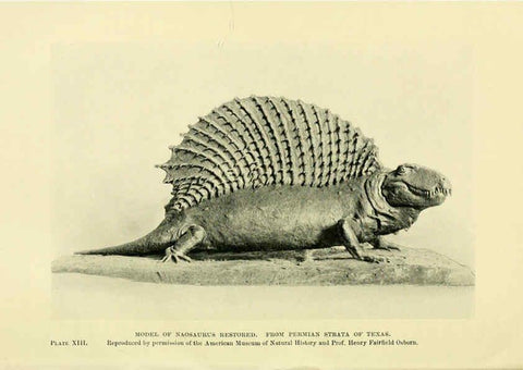 Reproducción/Reproduction 6288294815: Extinct monsters and creatures of other days London :Chapman & Hall,1910