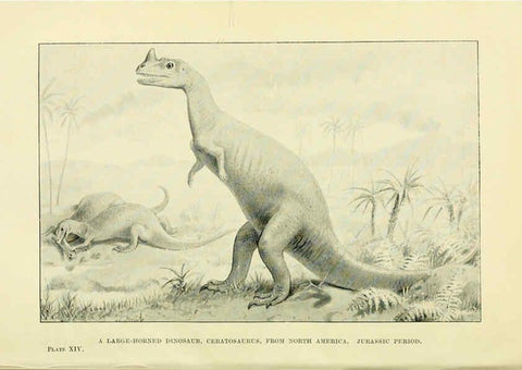 Reproducción/Reproduction 6288294957: Extinct monsters and creatures of other days London :Chapman & Hall,1910