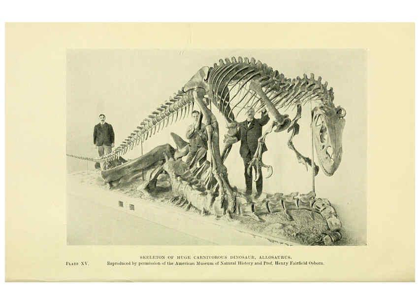Reproducción/Reproduction 6288815366: Extinct monsters and creatures of other days London :Chapman & Hall,1910