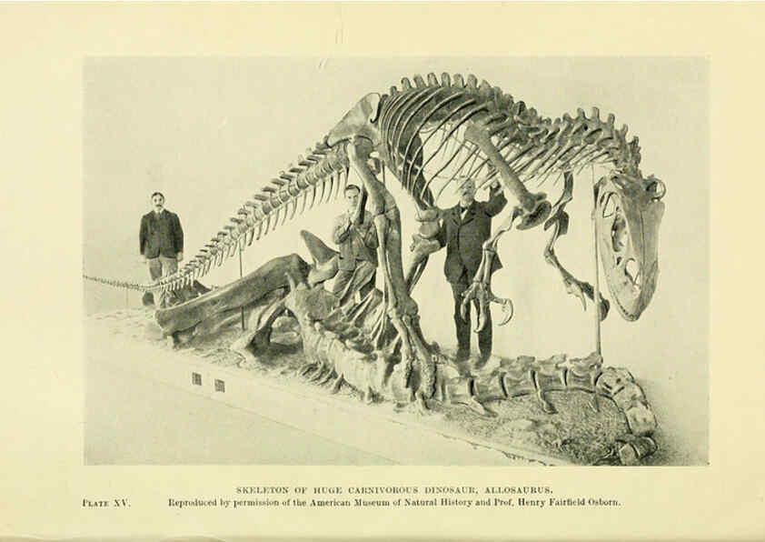 Reproducción/Reproduction 6288815366: Extinct monsters and creatures of other days London :Chapman & Hall,1910