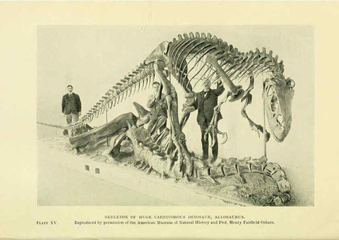 Reproducción/Reproduction 6288815366: Extinct monsters and creatures of other days London :Chapman & Hall,1910