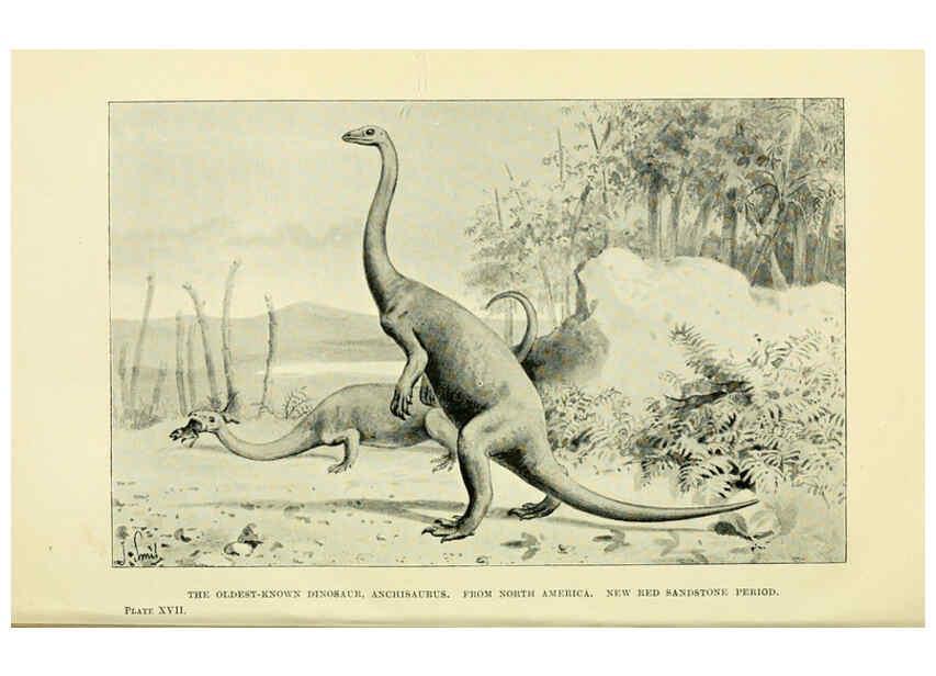 Reproducción/Reproduction 6288815674: Extinct monsters and creatures of other days London :Chapman & Hall,1910