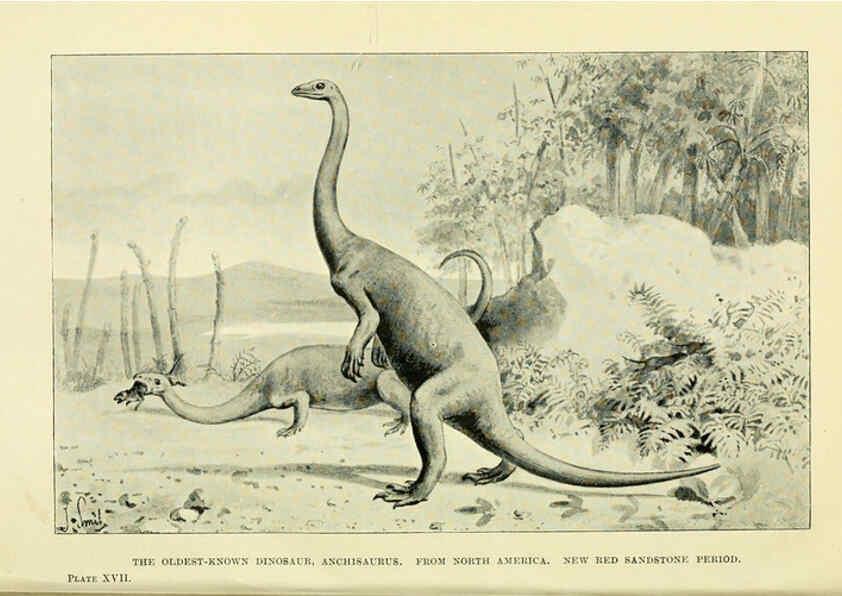 Reproducción/Reproduction 6288815674: Extinct monsters and creatures of other days London :Chapman & Hall,1910