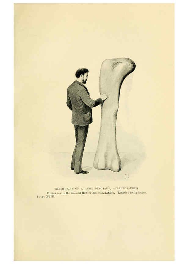 Reproducción/Reproduction 6288815826: Extinct monsters and creatures of other days London :Chapman & Hall,1910