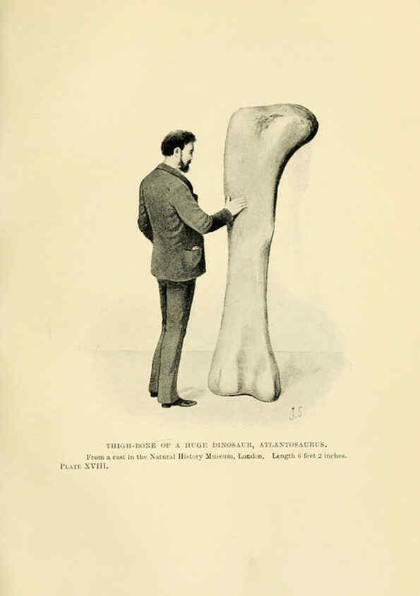 Reproducción/Reproduction 6288815826: Extinct monsters and creatures of other days London :Chapman & Hall,1910