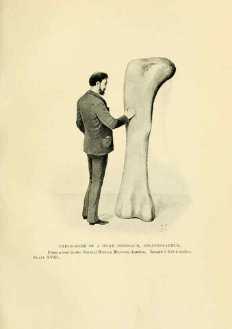 Reproducción/Reproduction 6288815826: Extinct monsters and creatures of other days London :Chapman & Hall,1910
