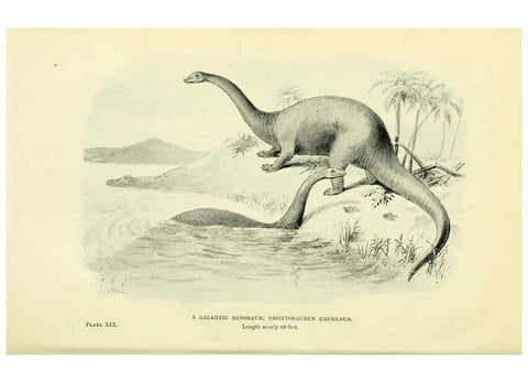 Reproducción/Reproduction 6288815982: Extinct monsters and creatures of other days London :Chapman & Hall,1910