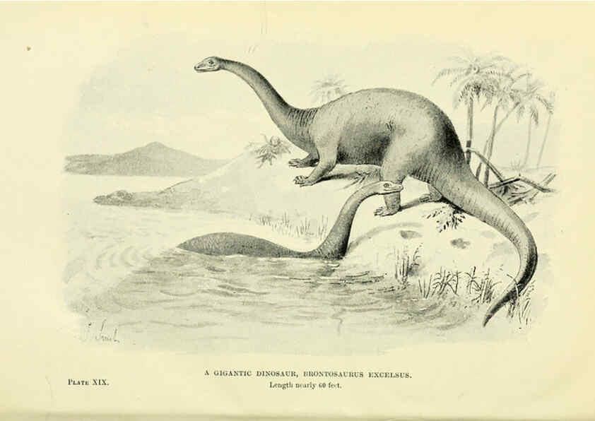 Reproducción/Reproduction 6288815982: Extinct monsters and creatures of other days London :Chapman & Hall,1910
