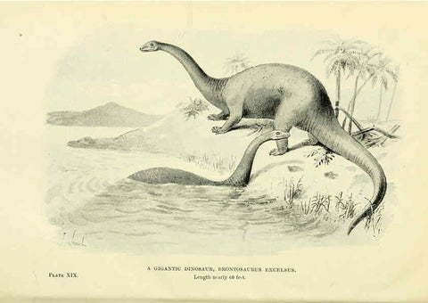 Reproducción/Reproduction 6288815982: Extinct monsters and creatures of other days London :Chapman & Hall,1910