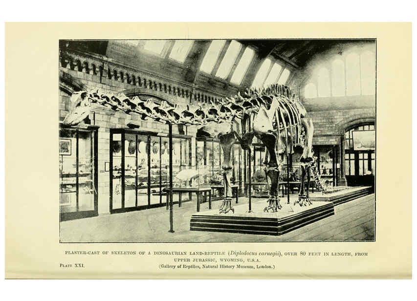 Reproducción/Reproduction 6288296041: Extinct monsters and creatures of other days London :Chapman & Hall,1910