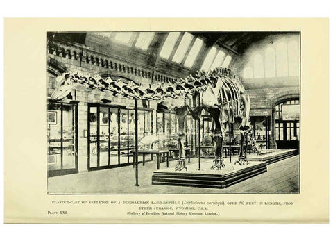 Reproducción/Reproduction 6288296041: Extinct monsters and creatures of other days London :Chapman & Hall,1910