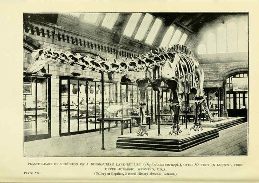 Reproducción/Reproduction 6288296041: Extinct monsters and creatures of other days London :Chapman & Hall,1910