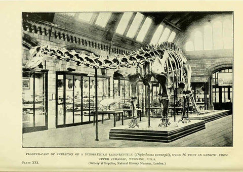 Reproducción/Reproduction 6288296041: Extinct monsters and creatures of other days London :Chapman & Hall,1910