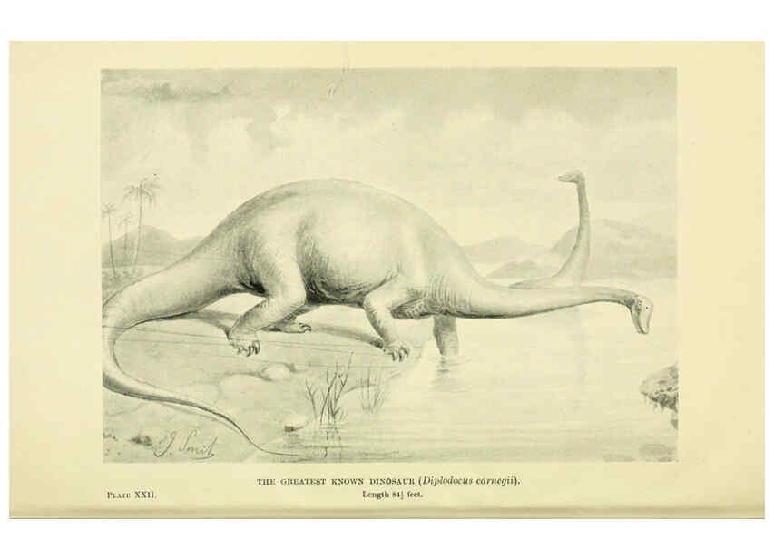 Reproducción/Reproduction 6288816592: Extinct monsters and creatures of other days London :Chapman & Hall,1910
